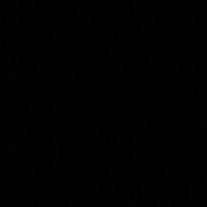 Meet your Posher, Bryson